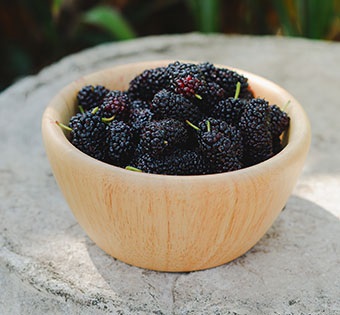 Black mulberry