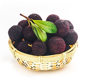 Strawberry Tree Fruit